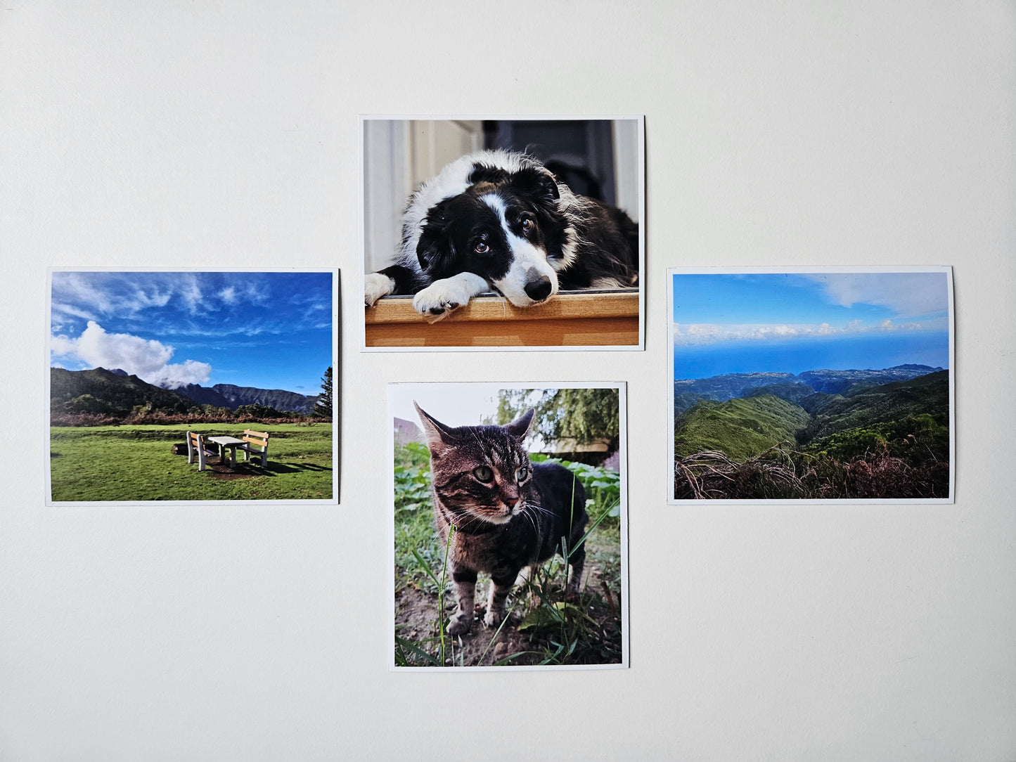 Magnets Personnalisés Souples