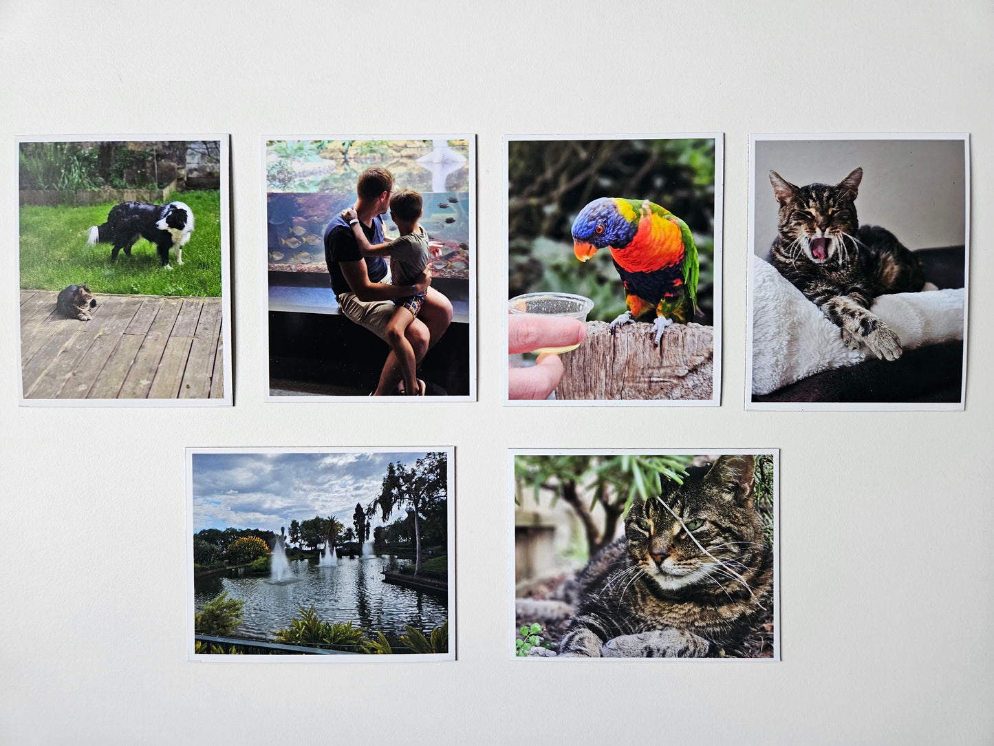 Magnets Personnalisés Souples